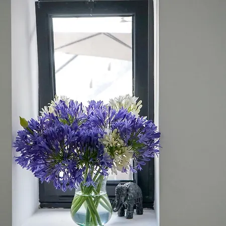 Maria S Haven By The Sea *